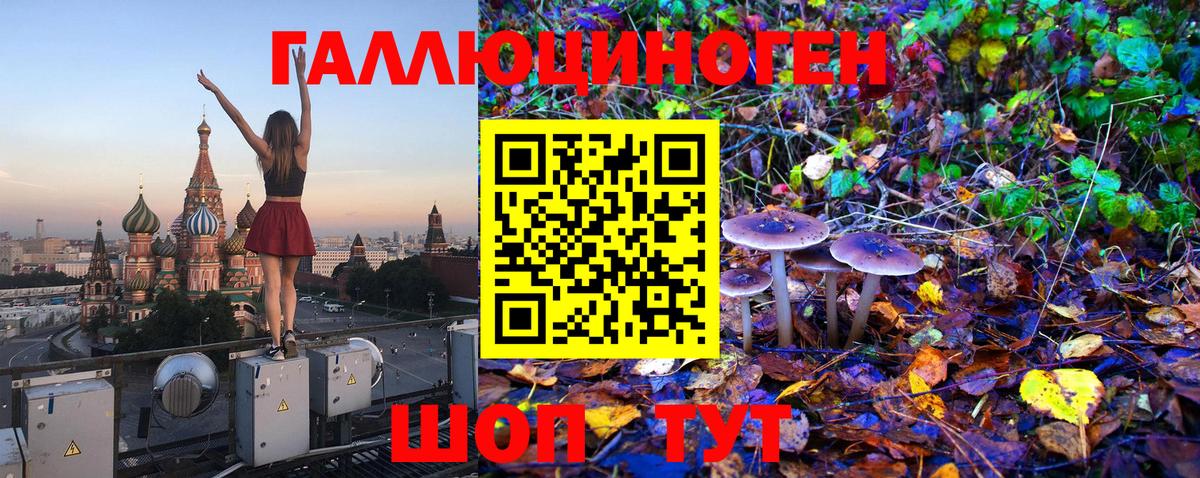 Галлюциногенные грибы GOLDEN TEACHER  Вход с VPN  Кимовск 