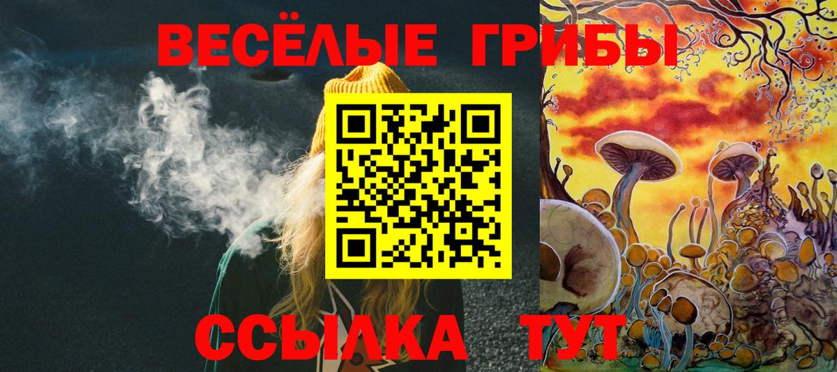 Псилоцибиновые грибы Magic Shrooms Кимовск